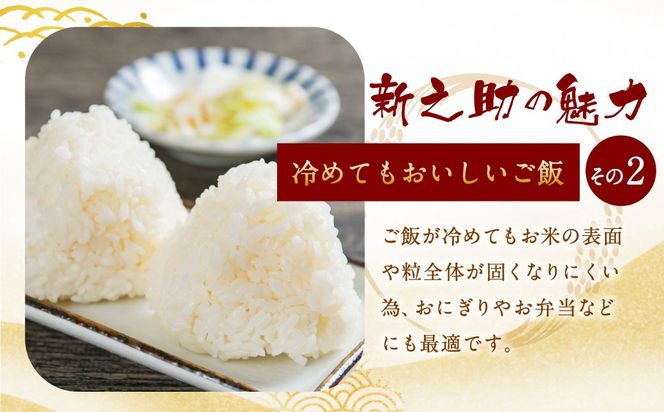 【令和7年産米】新潟県村上市岩船産 新之助 5kg 1013002 