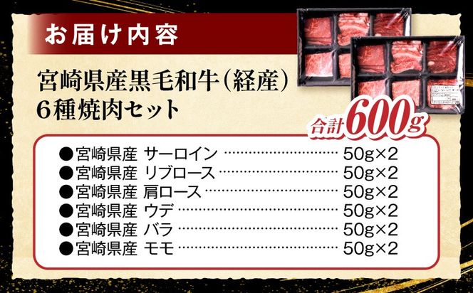 宮崎県産黒毛和牛(経産)6種焼肉セット 600g