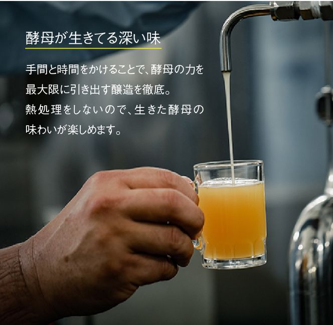 【定期便】あわぢびーる毎月６本セット《淡路島のクラフトビール》　飲み比べ ビール