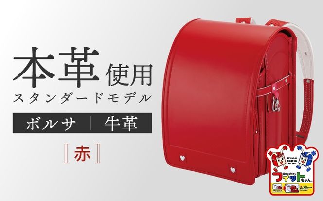 2027年度の入学式に向けて／ フィットちゃん ランドセル 『牛革ボルサ