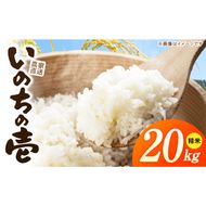 R7年産　「いのちの壱」（20kg）＜農家直送＞ ［208K12］ 希少米 20kg 米 精米 白米 ご飯 国産 産地直送 甘い 粘り強い もちもち お取り寄せ こだわり米 愛知県 小牧市 送料無料