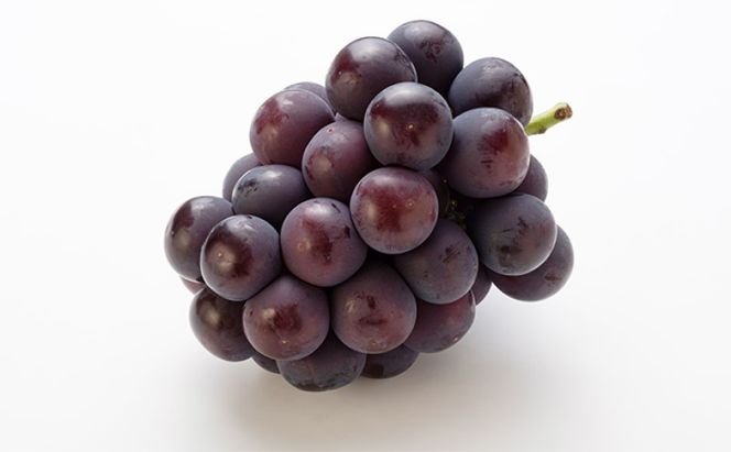 フルーツ 定期便 【2026年 先行予約】 ニュー ピオーネ 4房2kg以上 シャインマスカット 4房2.8kg以上 岡山県産 国産 セット ギフト