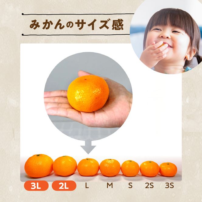 MK1034_【2026年先行予約】みかん 大玉 どっこいしょ 箱込 10kg ( 内容量 9.2kg ) 2Lサイズ以上 秀品 優品 混合 有田みかん 和歌山県産 産地直送 【みかんの会】