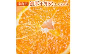 【先行予約】 【先行予約】有田育ちの不知火 (しらぬい)(訳あり 家庭用)約5kg◇