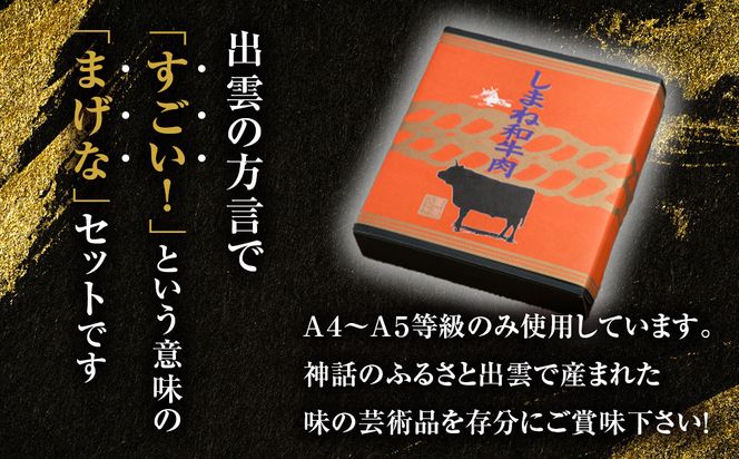 藤増 しまね和牛まげなセット【冷凍】 322032_DS003