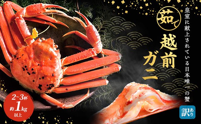 かに 訳あり 期間限定 茹で 越前ガニ 約1kg以上2～3杯 ボイルカニ ボイル 魚介 魚介類