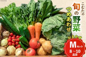 AI022【10～5月限定出荷】こむたの旬の野菜つめあわせ(8～10品目)おまかせ M セット 【 野菜 やさい 旬 種類 人気 オススメ 新鮮 詰め合わせ こむた 小無田 青果 長崎県 島原市 】