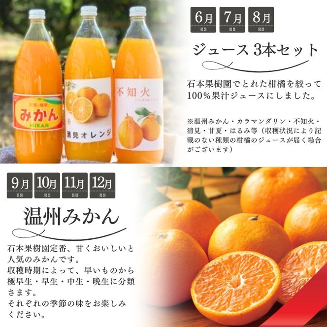 【全12回】柑橘 定期便 石本果樹園 店主おすすめの柑橘セットを毎月お届け！ /  フルーツ 果物 柑橘 フルーツ定期便 くだものセット みかん ミカン 温州みかん 不知火 せとか セミノール ポンカン カラマンダリン 甘夏 清見 オレンジ ジュース みかんジュース 果実飲料 産地直送 旬 人気 おすすめ 詰め合わせ お楽しみ 三重県 紀宝町【tkb507】