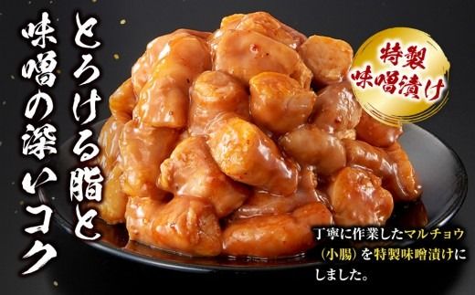 牛マルチョウ 味噌漬け 300g とろける脂 小分け 使いやすい 味付き 調理便利 野菜炒め ホルモン炒め 訳あり 不揃い 小腸 冷凍 配送時期が選べる 個包装 冷凍保存 アウトドア キャンプ おすすめ 人気