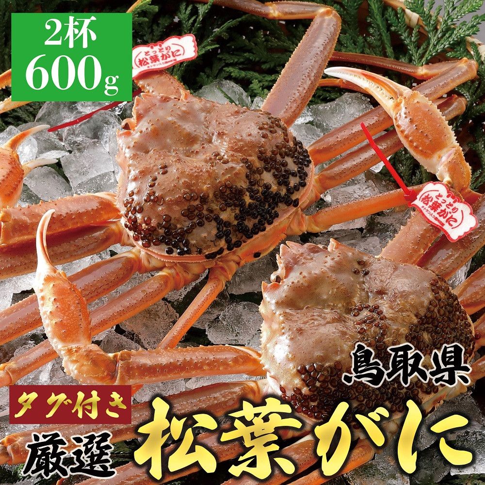 767.[活][タグ付き]≪2025年11月発送≫ 特撰 松葉がに[ブランドタグ付き] 600g超×2杯 313726_BS014VC01
