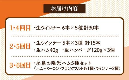 【全6回定期便】 ウインナー / ハンバーグ / ハム 月替り セット 糸島市 / 志摩スモークハウス 生ハム ベーコン [AOA039] 