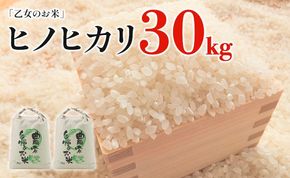 令和6年産「乙女のお米」ヒノヒカリ 30kg