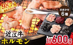 【カメチク】近江牛ホルモンおまかせ６種類【FK06W】