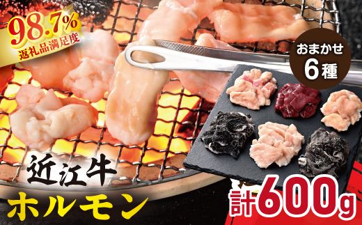 【カメチク】近江牛ホルモンおまかせ６種類【FK06W】