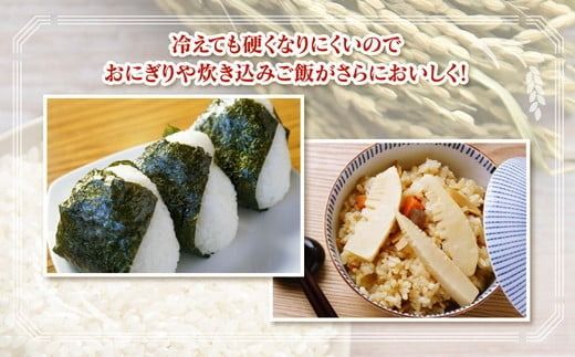 【令和6年度米】環境配慮「魚津のミルキークイーン（晃米）」20kg（白米） ｜ MK農産 白米 銘柄米 ブランド米 ご飯 おにぎり お弁当 和食 主食 国産 産地直送 甘み 香り もちもち ※2024年10月下旬頃より順次発送予定 ※北海道・沖縄・離島への配送不可