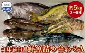 知床羅臼産 鮮魚詰め合わせA　約5kg 魚 さかな 旬の魚 鮮魚 羅臼町 北海道 生産者 支援 応援 016942_AE045