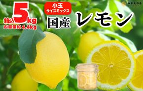 レモン 小玉 国産 箱込5kg(内容量約4.4kg) 秀品 S M L サイズミックス 和歌山県有田産 【みかんの会】 AX323