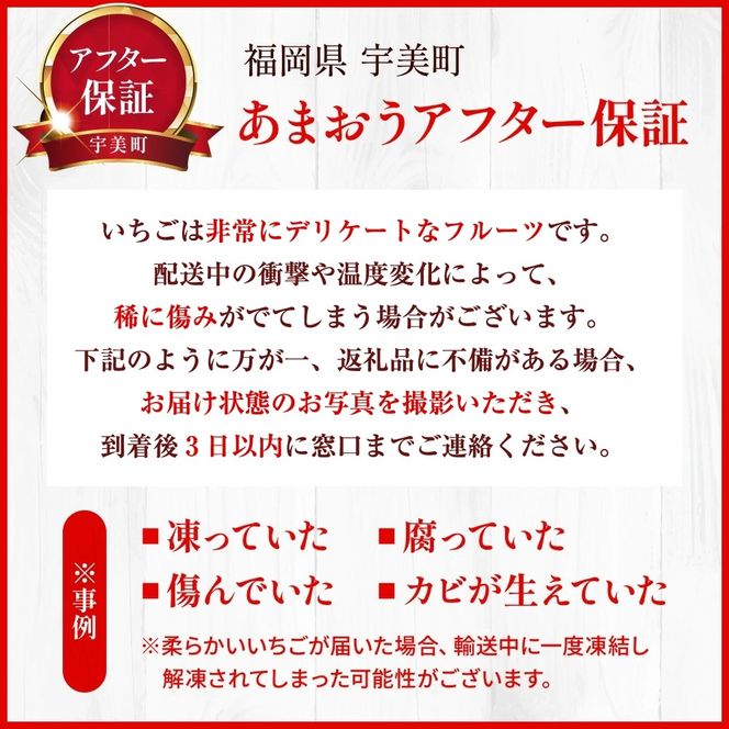 【期間限定発送】 いちご 定期便 あまおう 2p 3回 総計6P [THE FARM_strawberry 福岡県 宇美町 um40azo780012] イチゴ 苺 フルーツ 果実 甘い 小分け