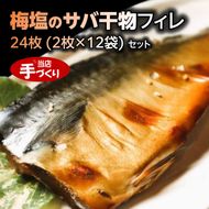 J6023_和歌山産サバ干物フィレ 24枚 (2枚×12袋) セット【干物 魚の開き 味醂干し 魚 詰め合わせ 食べ比べ】