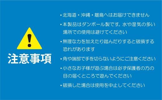 自分だけのダンボールハウス