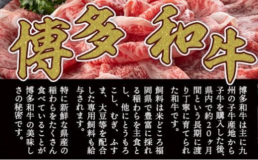 【厳選部位】博多和牛サーロインしゃぶしゃぶすき焼き用　500ｇ DX035