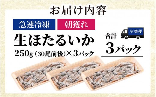 生 ホタルイカ 急速冷凍 【カネツル砂子商店】 / ほたるいか 冷凍 生 ホタルイカ刺身 ホタルイカしゃぶしゃぶ ホタルイカボイル ホタルイカ沖漬 [A-002011]