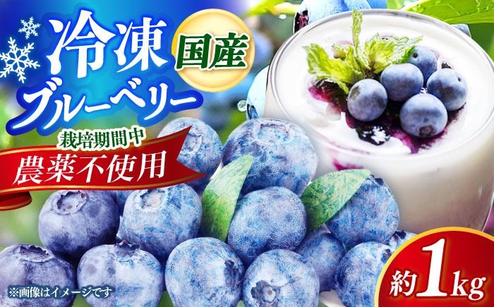 築上町産 冷凍 ブルーベリー 1kg [築上町][(有)工房よしかわ]国産 ブルーベリー [ABAK001]