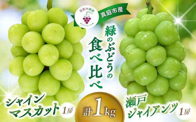 【2026年先行予約】 ぶどう 岡山 花笑み農園の『シャインマスカット&瀬戸ジャイアンツ』1kg (2房) / ぶどう ブドウ 葡萄 シャインマスカット 瀬戸ジャイアンツ 先行予約 フルーツ 果物 真庭市 【hana046-02】