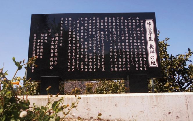 【先行予約】和歌山由良町産 由良早生みかん 約3kg 訳あり キズ 御家庭用 サイズ混合【sml126B】