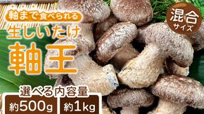 ＼ 選べる 内容量 ／産地直送！軸まで美味しい『軸王しいたけ』サイズ混合 (約500g/約1kg) しいたけ 椎茸 シイタケ きのこ キノコ 野菜 軸が太い 軸まで食べられる 特大 肉厚 旨味 菌床 国産 ぷりぷり ステーキ 椎茸ステーキ 新鮮 BBQ バーベキュー バター焼き 網焼き きんぴら オイル漬け