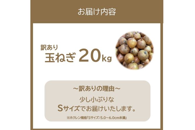 【訳アリ】玉ねぎ 20kg Sサイズ ( 北海道産 野菜 たまねぎ わけあり )【009-0005】