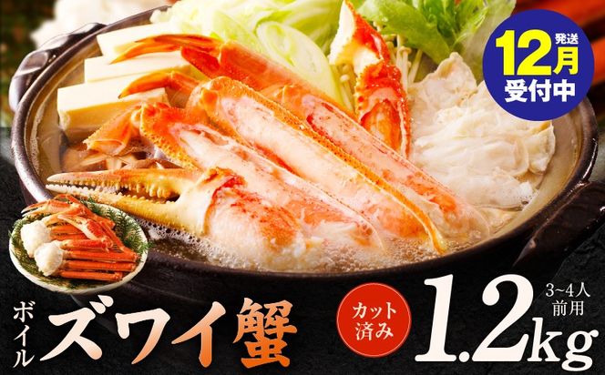 y{򍲖szkgp0035y yNz{CYCI 1.2kg Jbgς݁i3-4lOj