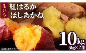 さつまいも 【 選べる品種 】 5kg / 10kg ( 箱込 ) サツマイモ さつま芋 芋 いも 野菜 焼き芋 スイーツ おやつ 国産 シルクスイート 紅はるか 紅あずま ふくむらさき ほしあかね