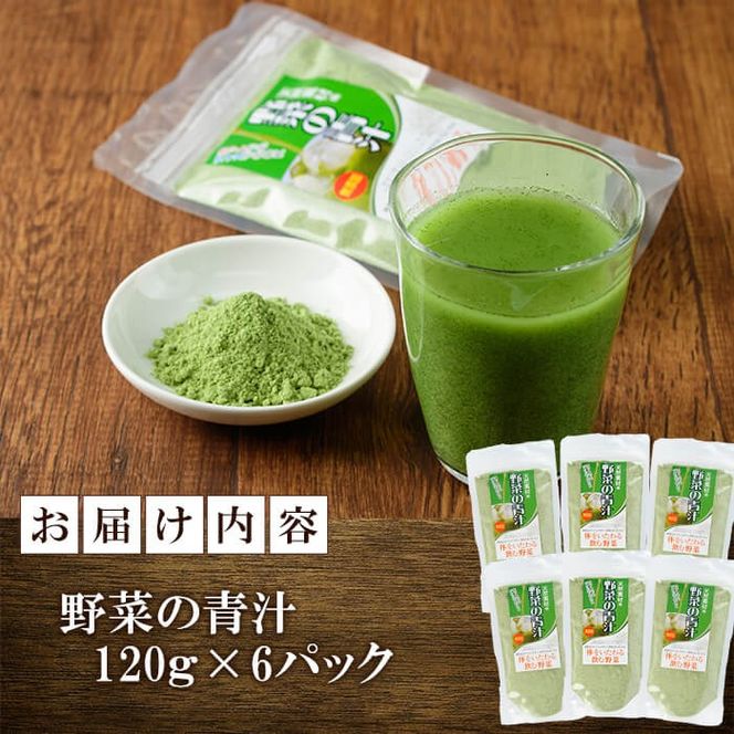  野菜の青汁 (計720g・120g×6P) 青汁 粉末 ダイエット 健康食品 野菜 食物繊維 大分県 佐伯市【EC02】【天然素材 (株)】