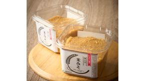 米みそ600g×4【JAむなかた直販課】_HA2003 味噌 みそ 米味噌 無添加 発酵 福岡県宗像市 宗像市 福岡 宗像