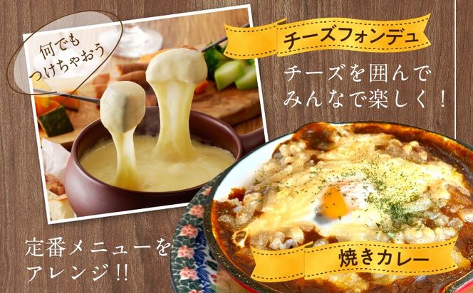 005A699 【ムラカワチーズ】JUCOVIA ミックスチーズ 1kg（1kg×1パック）