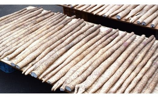 ASIAGAP認証農場 の 自然薯 1kg 茨城県 筑西市産 じねんじょ 山芋 芋 イモ いも とろろ 山菜 ASIAGAP [DD001ci]