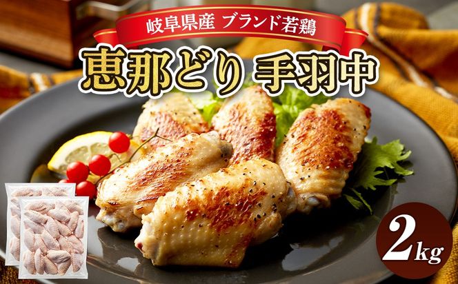 冷凍　恵那どり　手羽中　バラ凍　2kg [No.923]