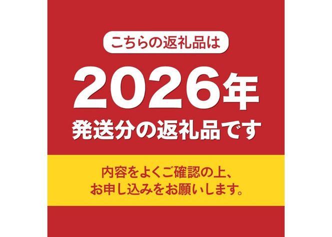 【2026年発送 先行予約】高級 山梨県産 シャインマスカット 2～3房 （1.3kg以上）  果物 旬 高級 フルーツ シャイン ぶどう 山梨 富士吉田