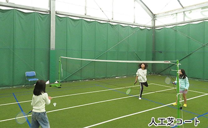 チケット ふれあい健康アイランド 全館 貸切 プラン 土日祝 利用券 健康維持 運動施設 VR 人工芝コート カラオケ 遊び 運動 施設貸切 使い放題 家族連れ ファミリー 