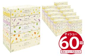 エリエール i:na（イーナ）petitティシュー 　150W5P×12パック ボックス ティッシュ ペーパー ボックス ティッシュ 箱ティッシュ【0095-015】