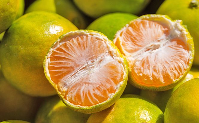 グリーンみかん(2S～Mサイズ) 5kg 家庭用 【2026年出荷分】丸萬農園 mn-0016