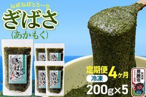【定期便4ヶ月】ぎばさ(あかもく) 200g×5個セット 海藻 男鹿市 秋田県 [ぎばさ あかもく 海藻 磯の香り 強い粘り フコイダン フコキサンチン 高栄養価 食物繊維 シャキシャキ食感 秋田県 男鹿市]|23_ogn-240504