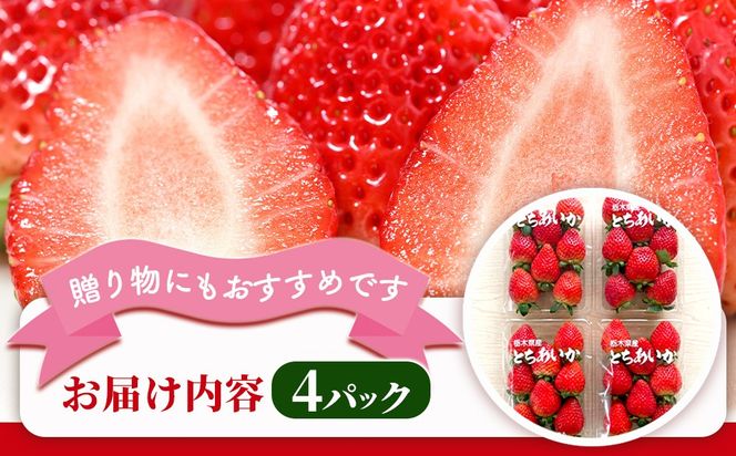 【先行予約】 いちご とちあいか 出会いの森いちご園 （290g×4パック） | いちご イチゴ 苺 栃木県 果物 くだもの フルーツ とちあいか 新鮮 贈答 ギフト デザート スイーツ ※2026年12月～発送