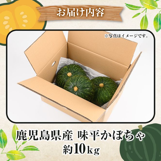 ＜先行予約受付中！2026年5月上旬以降順次発送予定＞鹿児島県産 味平かぼちゃ(約10kg) 国産 野菜 かぼちゃ カボチャ 南瓜 煮物 天ぷら バーベキュー BBQ スイーツ お菓子【松永青果】akn053-32