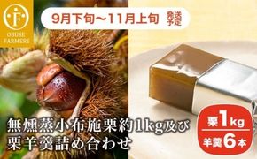 無燻蒸小布施栗約1kg及び栗羊羹詰め合わせ ［おぶせファーマーズ］ 果物 フルーツ 生栗 くり 栗 無くん蒸　スイーツ 和菓子 かのこ 羊羹 栗羊羹 ようかん 詰め合わせ 長野県産 信州産 令和7年産 【2025年9月下旬～11月上旬発送】 ［F-65］