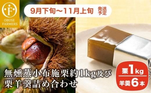 無燻蒸小布施栗約1kg及び栗羊羹詰め合わせ ［おぶせファーマーズ］ 果物 フルーツ 生栗 くり 栗 無くん蒸　スイーツ 和菓子 かのこ 羊羹 栗羊羹 ようかん 詰め合わせ 長野県産 信州産 令和7年産 【2025年9月下旬～11月上旬発送】 ［F-65］