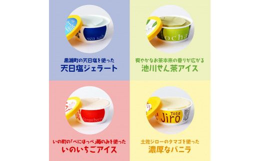 【CF-R7hbk】TKA015　おいしいんだもの 高知アイスセット／高知の素材にこだわった人気アイスのアソートセットです。故郷納税 11000円 2022 食べ物 ギフト 詰め合わせ シャーベット スイーツ お菓子 プレゼント 濃厚 バニラ アイスクリーム 塩 いちご 苺 お茶 文旦 ゆず