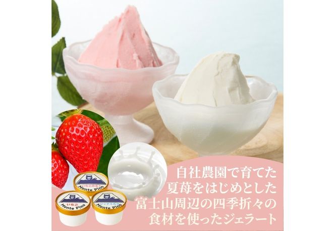 富士山まるごとジェラート  【選べるセット バラエティセット/ミルク特別セット/いちご特別セット】ジェラート 氷菓子 スイーツ 夏いちご 詰め合わせ 山梨 富士吉田