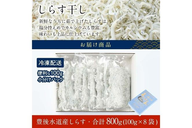  豊後水道産 しらす (合計800g・100g×8袋) 冷凍 しらす しらす丼 丼ぶり 魚 さかな ご飯 ごはん 炒飯 チャーハン パスタ サラダ 国産 大分県 パック 小分け 便利 大分県 佐伯市【CT08】【 (有)高橋商店】